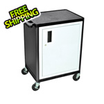 Luxor 1-Door Endura Console with 2 Shelves