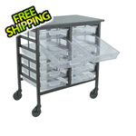 H. Wilson 12-Bin Clear Tub Cart