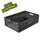 Polymer Logistics Large Folding Crate with Clear Panel