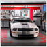 Red Tile Flooring (48-pack)