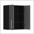 Medium 2-Door Hanging Wall Cabinet