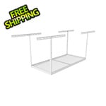 SafeRacks 4'x6' Overhead Storage Rack 24"-45" Drop