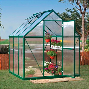 Mythos 6' x 6' Hobby Greenhouse (Green)