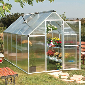 Mythos 6' x 10' Hobby Greenhouse (Silver)