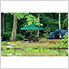 Green 10 x 10 ft. Slant Leg Canopy