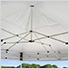 White 10 x 10 ft. Straight Leg Canopy