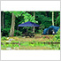 Twilight Blue 10 x 10 ft. Slant Leg Canopy