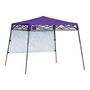 Purple 6 x 6 ft. Slant Leg Canopy