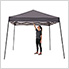 Charcoal 10 x 10 ft. Slant Leg Canopy