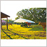 18x40 Canopy with 2-Inch 14-Leg Frame (White Cover)