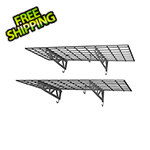 MonsterRax 48" x 18" Wall Shelves (2-Pack)