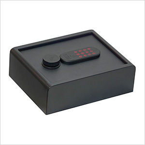 Personal Security Vault with Tamper Indicator