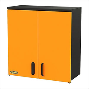 2-Door 30" Wall Cabinet