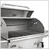 Premium Bison 30-Inch Freestanding Charcoal Grill