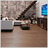 Forest Oak Vinyl Plank Flooring (250 sq. ft. Bundle)