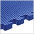 Blue Sport Interlocking Foam Flooring (4-Pack)