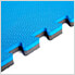 Reversible Black and Blue Interlocking Foam Flooring (4-Pack)