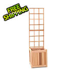 All Things Cedar 19-Inch Planter Box and Trellis