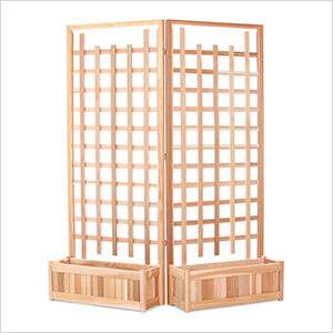 Twin 32-Inch Planter Box and Trellis