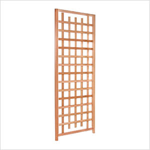 Trellis Privacy Screen