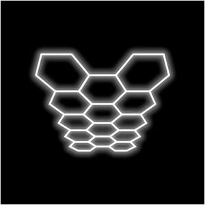 Large 14 Hex LED Lighting Kit (16.89’ x 9.74’)