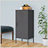 16.7" x 13.8" x 40" Steel Storage Cabinet (Anthracite)