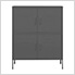 31.5" x 13.8" x 40" Steel Multishelf Cabinet (Anthracite)