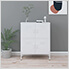 31.5" x 13.8" x 40" Steel Multishelf Cabinet (White)