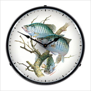 Crappies Backlit Wall Clock