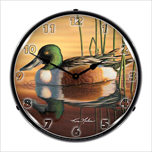Northern Shovler Duck Backlit Wall Clock