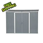 DuraMax 8' x 6' Pent Roof Metal Shed Kit with Skylights