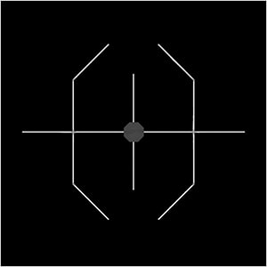 Orbital Cross 21 ft. Lynk Light Kit (Black)