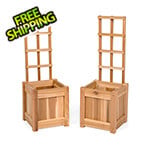 All Things Cedar 2-Piece Cedar Planter Box with Trellis
